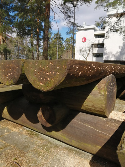 A Sculpture for Insects by Forest Camp, Helsinki, 2020 A Sculpture for Insects, Myllypuro, Helsinki, 2020